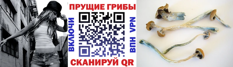 OMG маркетплейс что такое наркотик Игарка Псилоцибиновые грибы мухоморы